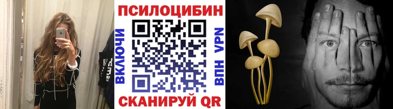 дарк нет клад  Алдан  Галлюциногенные грибы Psilocybine cubensis  наркошоп 